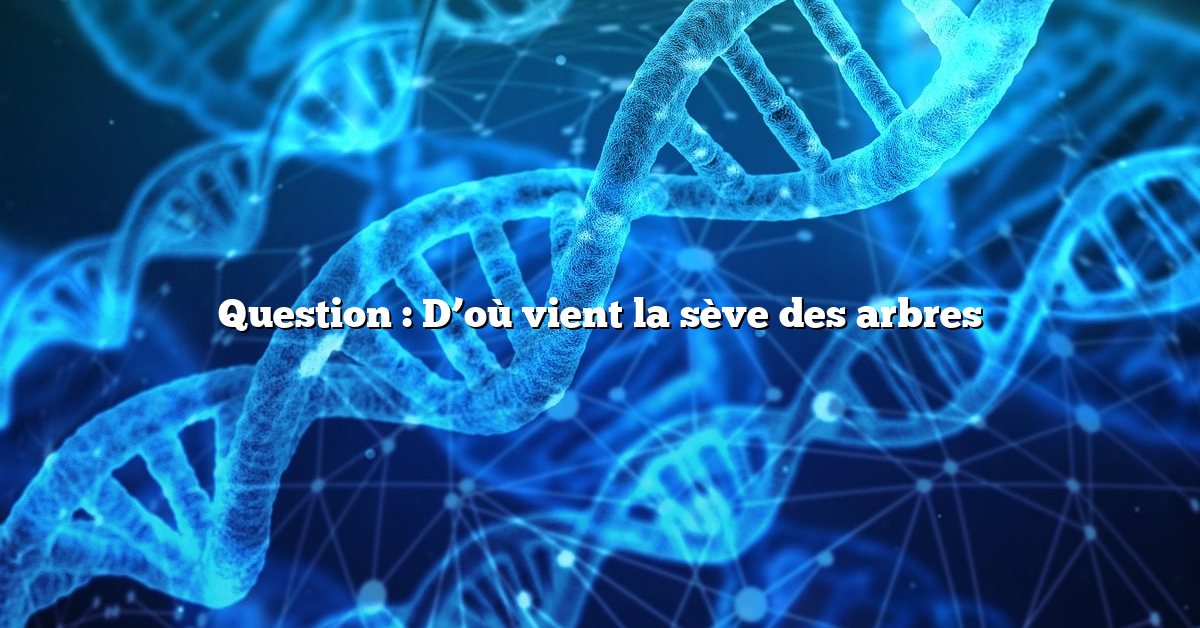 Question : D’où vient la sève des arbres